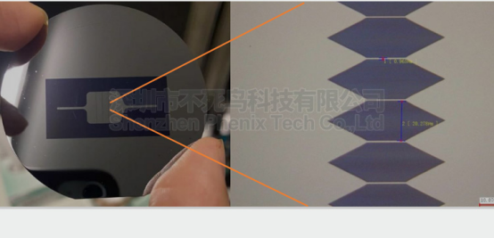 Biochip
